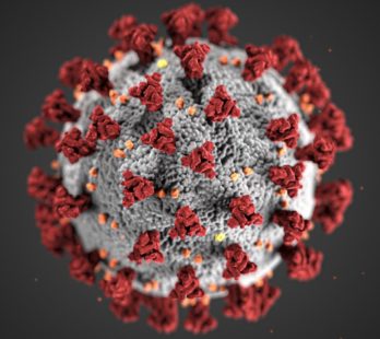 coronavirus-tuscon